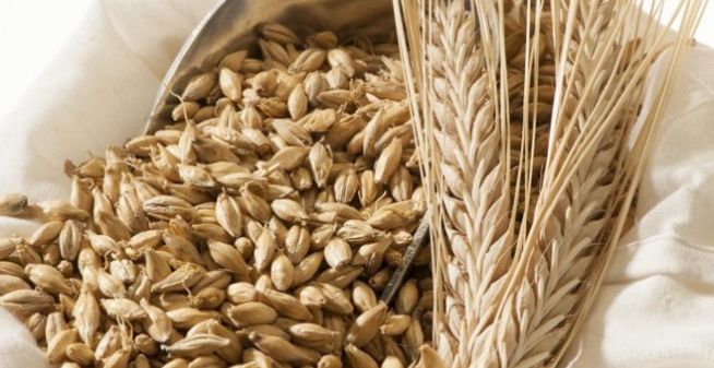 feed-grains-category